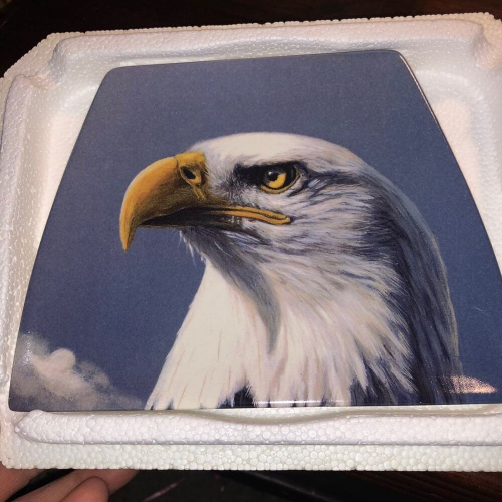 Bradford Exchange Eagle Plate 573A American Eagle Collectors Plate patriotic Art